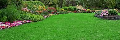 lawn Aeration Nampa